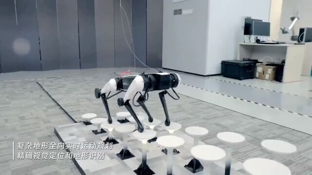 四足机器人Max是腾讯Robotics X实验室研发的四足机器狗,它可以行走、奔跑、跳跃,甚至用后腿站立——就像一只真正的狗一样.