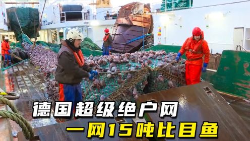 德国超级绝户渔网，一网下去捞上15吨比目鱼， 开张一次吃三年！
