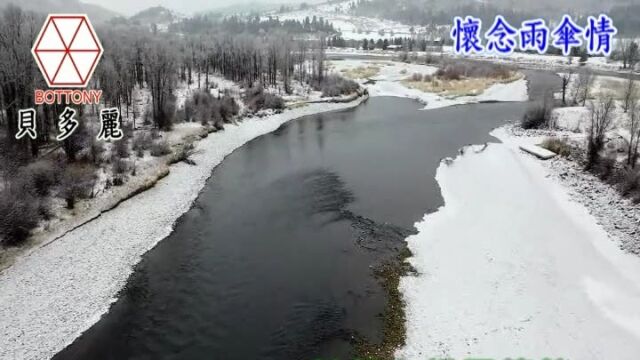 念雨伞情 卡拉ok版 伴奏 KTV 字幕 贝多丽唱片