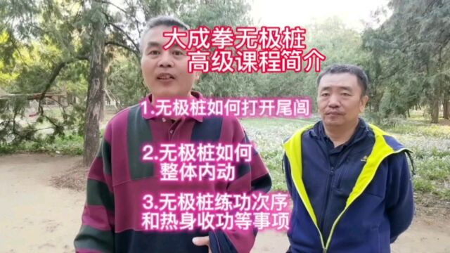 大成拳无极桩高级课程简介