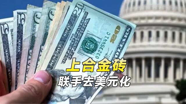 美国透支国家信用,多国为外贸避险考虑,相继推出去美元计划