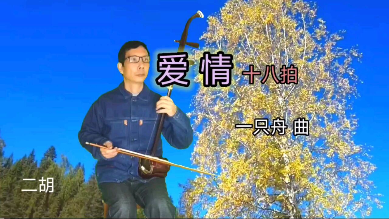 我给你了我的所有始终不能把你挽留二胡演奏爱情十八拍