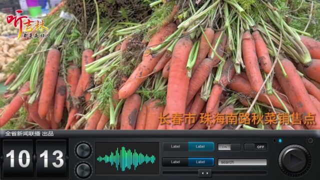 听吉林 | 新电商+新技术=无限可能