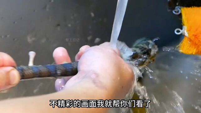 鲜美的海蛇羹,蛇汤烹饪.