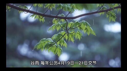 中国二十四节气-谷雨