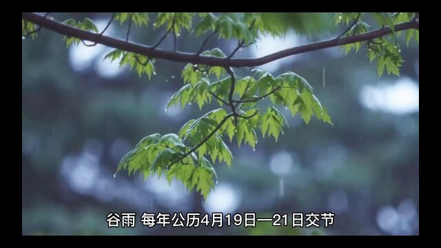 中国二十四节气谷雨