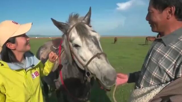 草原上蜿蜒流淌的河流,形成了大大的回弯,被人们称为河曲