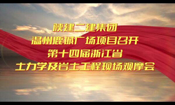 第十四届浙江省土力学及岩土工程现场观摩会