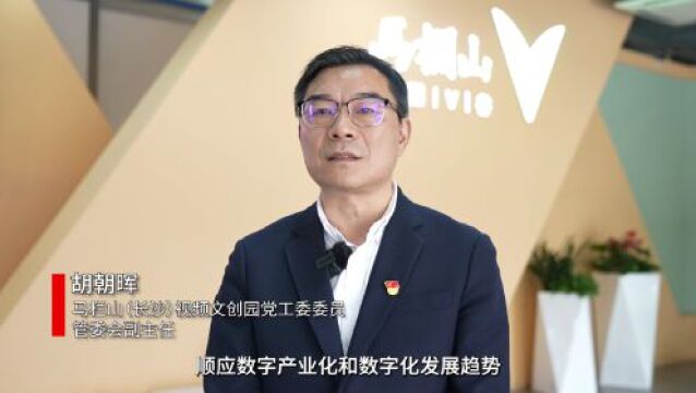 高质量发展在湖南|马栏山视频文创产业园何以攀登“高海拔”