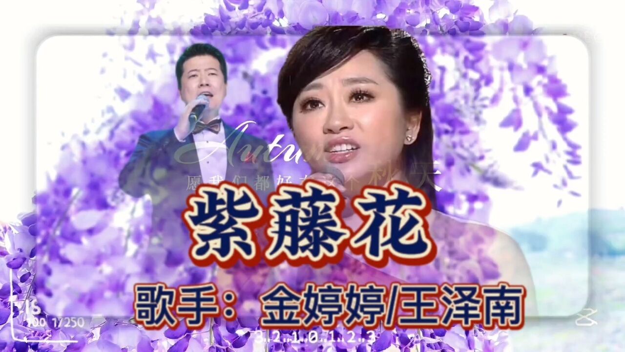 金婷婷/王泽南演唱《紫藤花》紫藤花, 洁白降紫美如云霞.