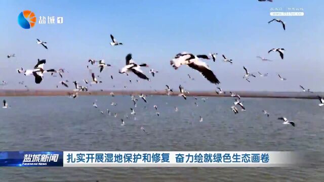 扎实开展湿地保护和修复 奋力绘就绿色生态画卷