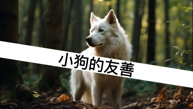 《小狗的友善》行善却不得回报丨知之