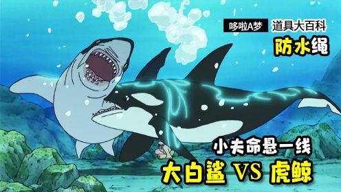 哆啦A梦：大白鲨VS虎鲸！小夫差点成鲨鱼午餐，幸亏虎鲸及时相救