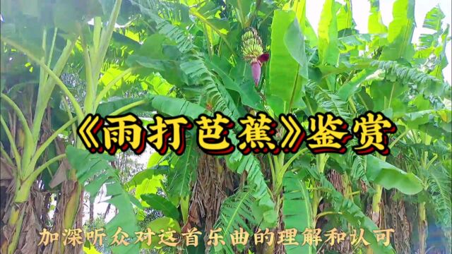 经典名曲《雨打芭蕉》淅沥之声古典韵味岭南美 意境深远 天人合一