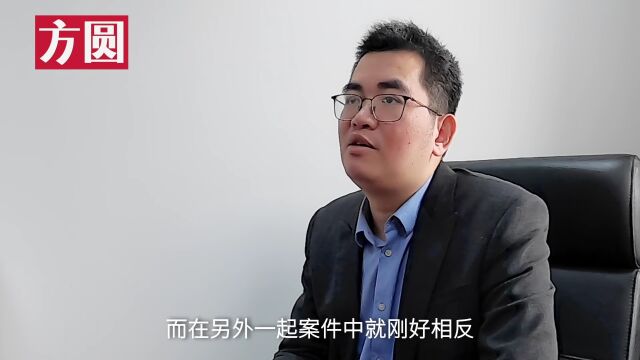 通晓八门外语的法学教授施鹏鹏:忙时有序,闲时有趣