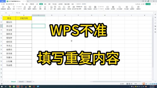 WPS不准填写重复内容