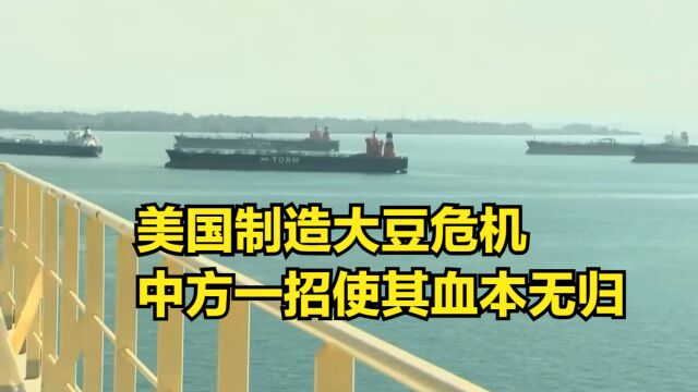 美国制造大豆危机,四大粮商联合做空,中方一招使其血本无归