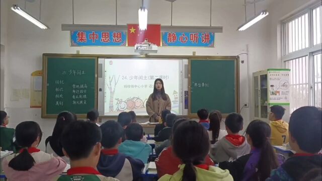 杨楼镇中心小学 六年级上册语文 田瑾《少年闰土》