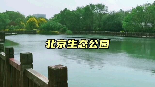 北京生态公园 城市休闲公园