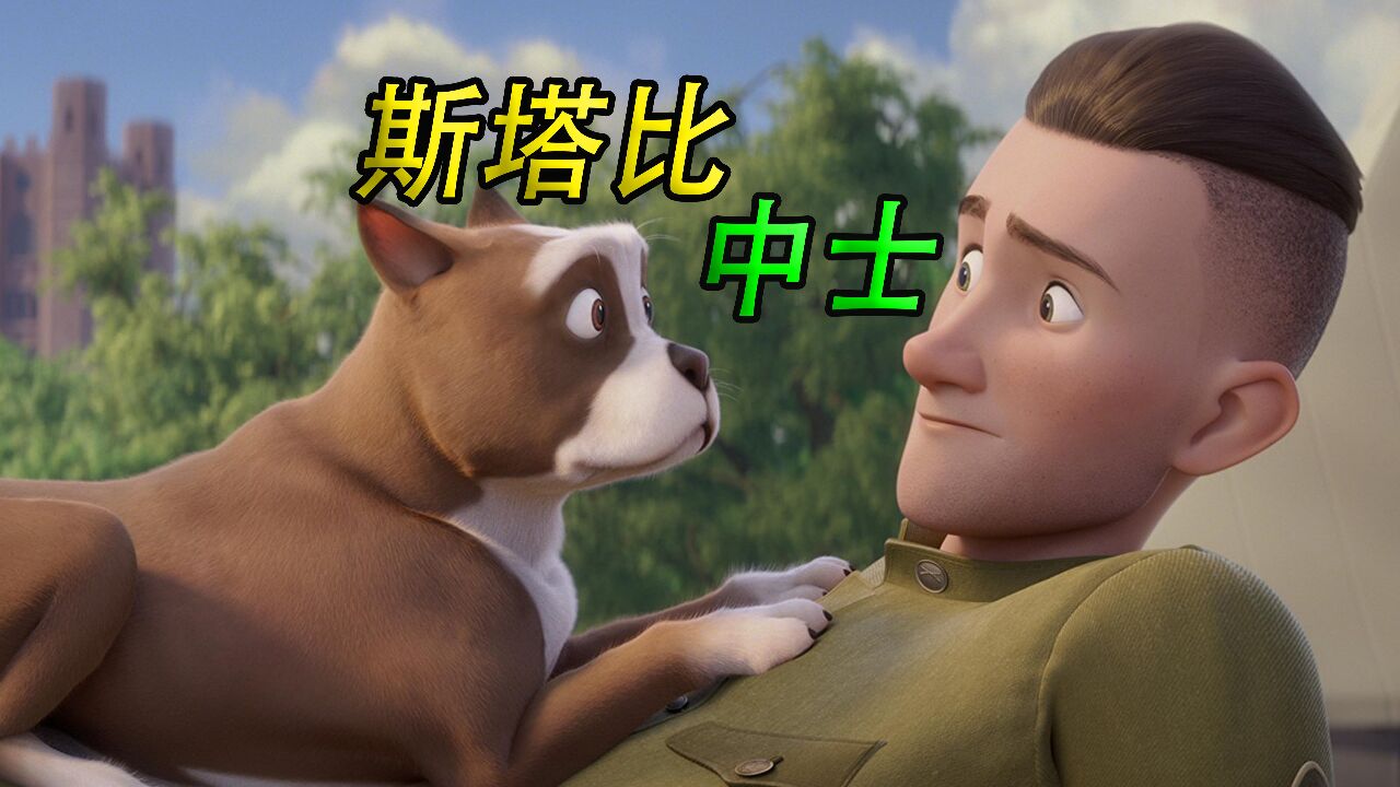 狗子为了讨饭混进军营,居然学会用狗爪了敬军礼《斯塔比中士》