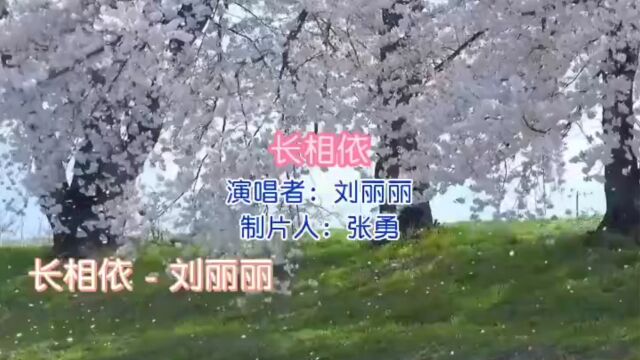 盘点1996年经典歌曲 满满都是回忆 第9首 刘丽丽《长相依》