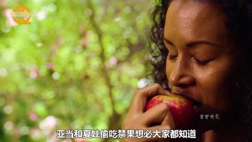 亚当和夏娃偷吃上帝的苹果，可你们想不到的是，居然被一条蛇哄诱