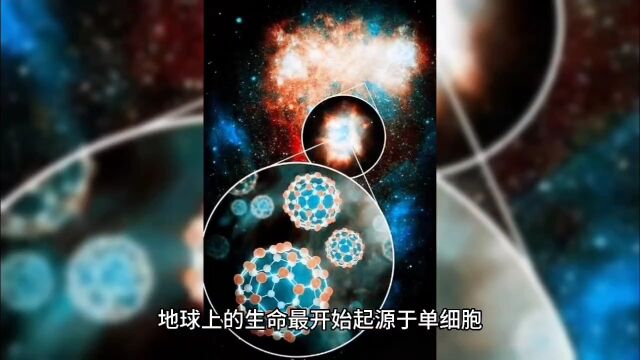 癌细胞就像人类的修行者