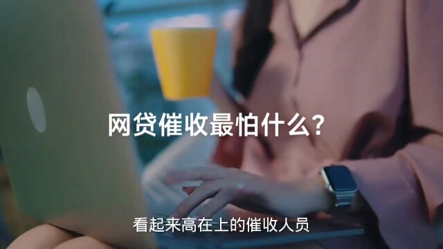 网贷催收最怕什么?