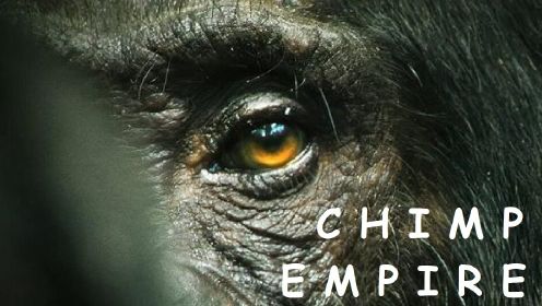 2023《黑猩猩帝国》 预告片