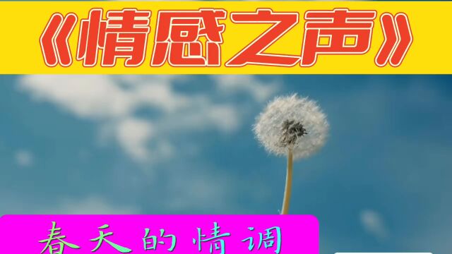 《情感之声》春天的情调