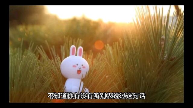 揭秘以讹传讹说法之命真的会越算越薄吗?(泛泛学易记16)