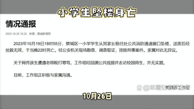 湖北襄阳小学生坠楼身亡,调查排除刑事案件可能