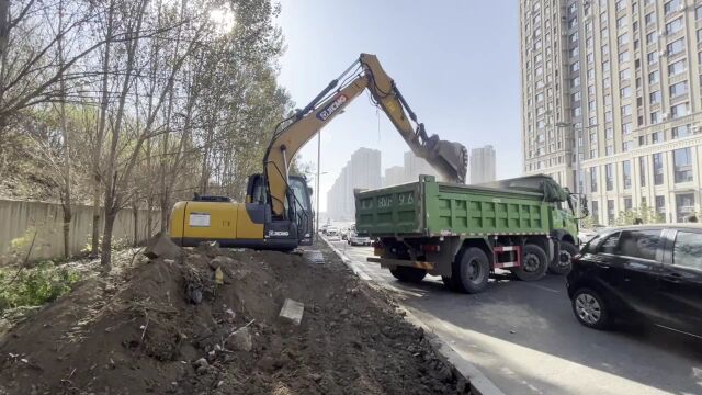 出行不再难!哈尔滨这三条道路启动人行道建设