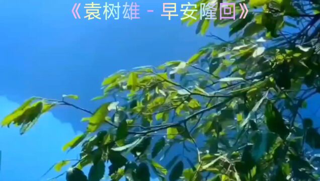 经典歌曲~早安隆回