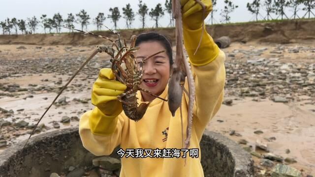 沙滩上凸现井状石块最能藏大货,牛牛来赶海一件双雕俩大货,给力 #赶海 #海鲜 #村里都是好风光