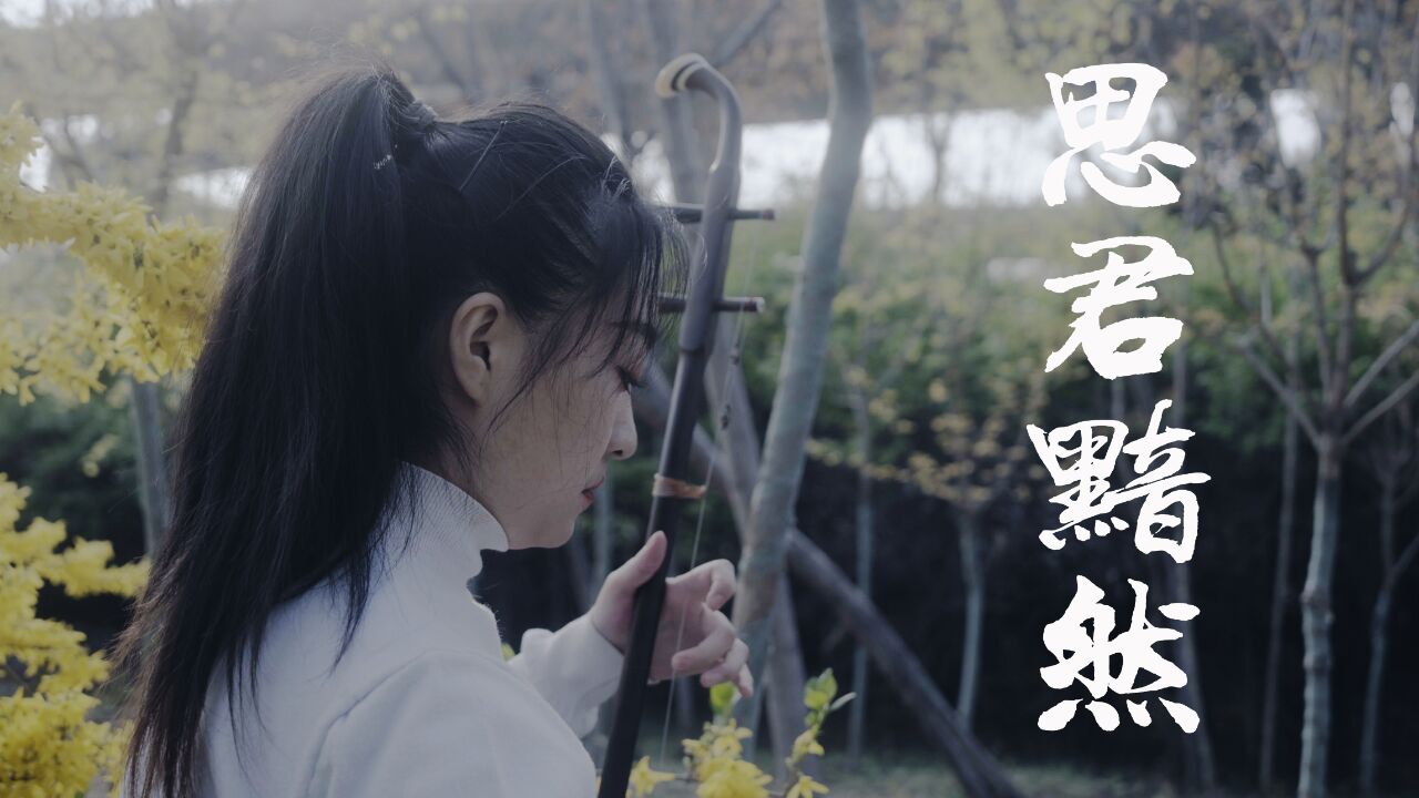 二胡《思君黯然》,此曲响起,脑海中不由得浮现出乔峰肝肠寸断的场面