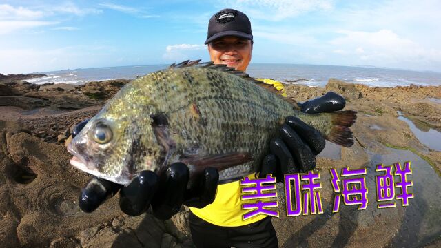 新海域盘80平水坑底躲藏美味海鲜,抽干直接捡漏渔人泰泰乐开花