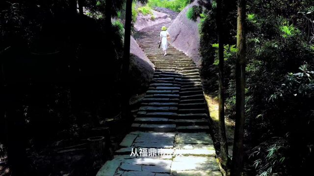 你去过福鼎吗?这里有山有海有白茶.教你用3天时间解锁福鼎浪漫之旅.旅行大玩家山海宁德福鼎