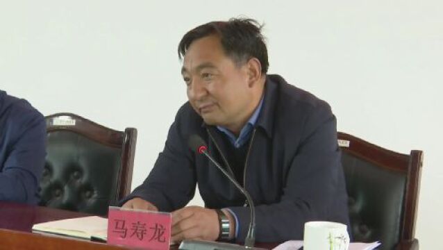 罗家集镇乡村建设行动推进会召开