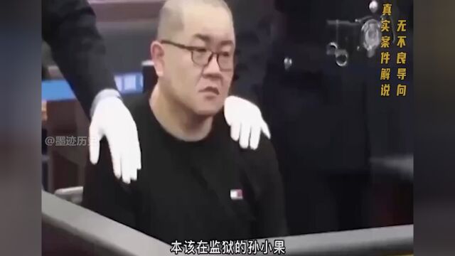 扫黑影视原型,曾因扎乳案轰动高层,死刑20年后复活作案!扫黑除恶..