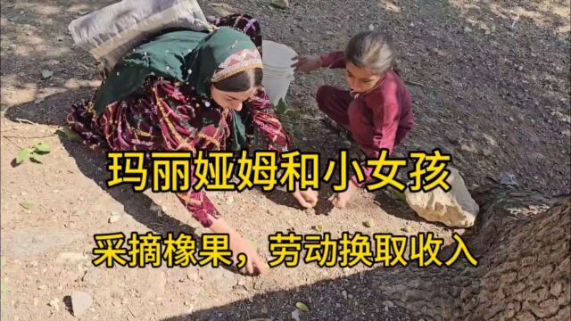 玛丽亚姆和小女孩去采摘橡果,通过劳动换取收入