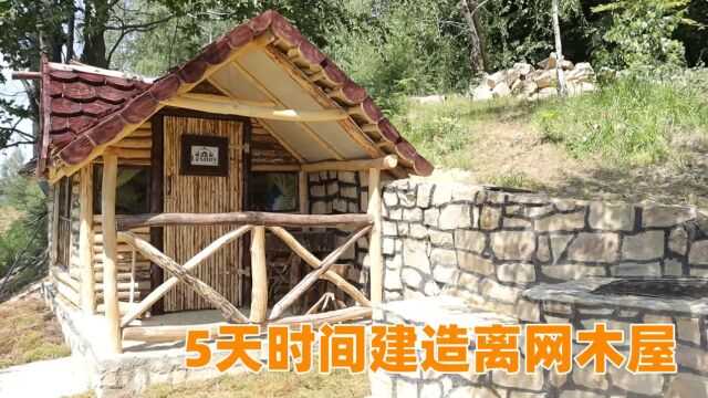 【荒野建造】5天时间建造离网小屋,还吃上了野外汉堡