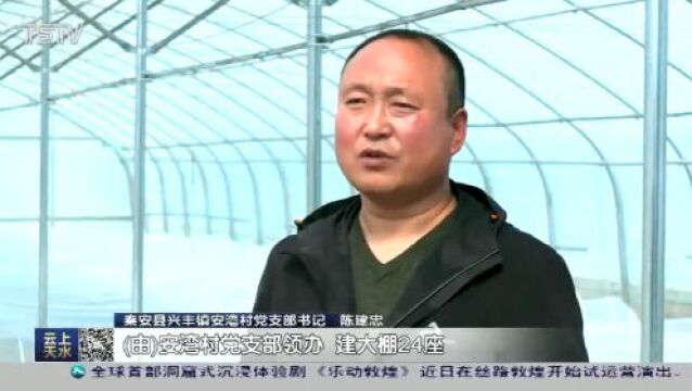 “六统一”原则,秦安县打响这个品牌→