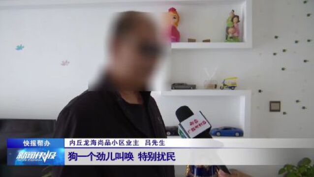 【快报帮办】内丘龙海尚品小区:彩钢棚里养狗扰民 物业协调解决