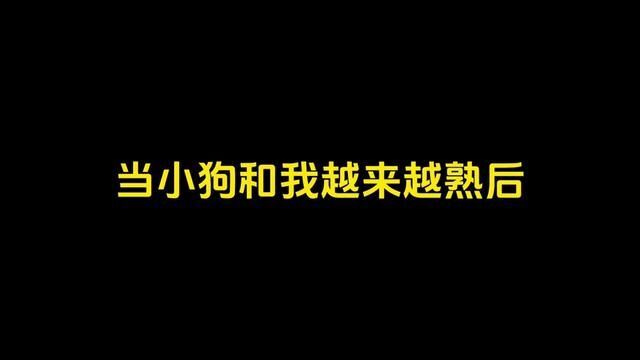 自从家里有了福宝,我每天在家说话都多了很多#小狗日记 #福宝是只泰迪熊