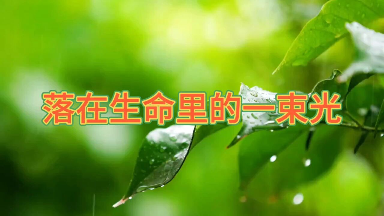 落在生命里的一束光