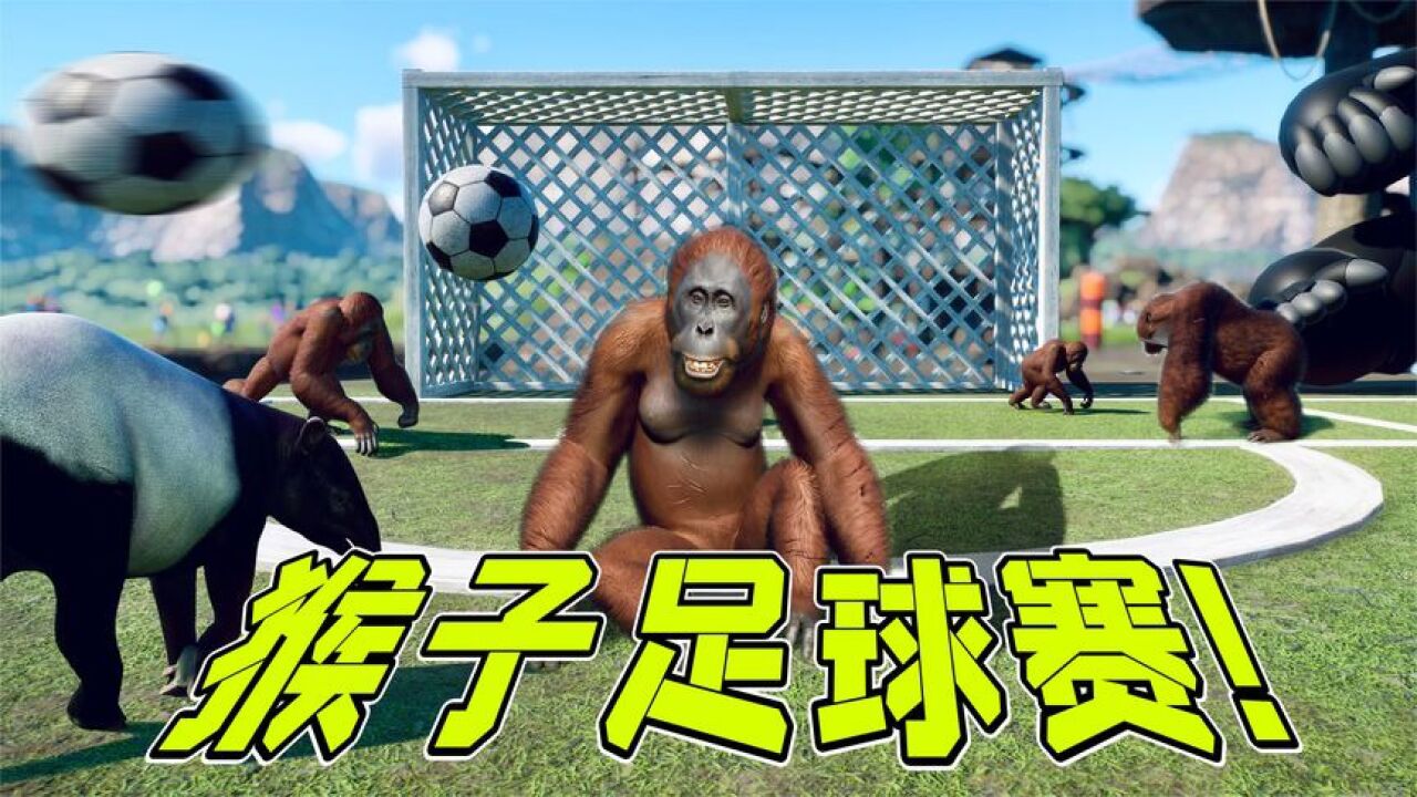 动物园之星09：让猴踢球，很难吗？我实现了！_高清
