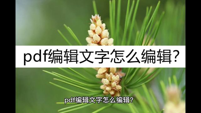 pdf编辑文字怎么编辑?试试这几个编辑方法