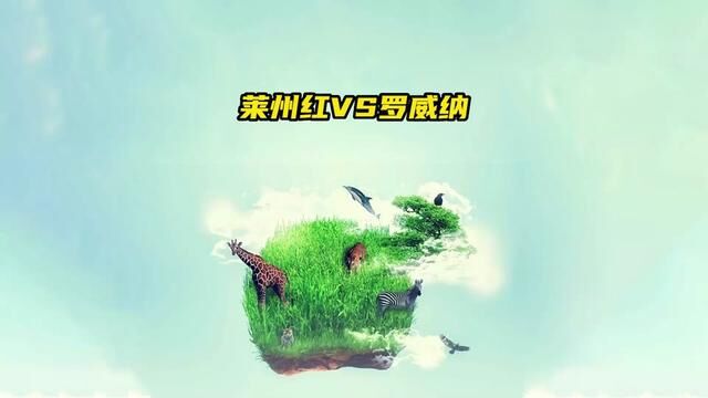 罗威纳和莱州红谁会更加厉害?#野生动物零距离