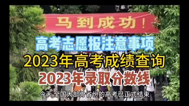 2023年高考分数线高考成绩查询高考志愿报